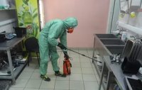 Услуги дезинсекции в Абакане